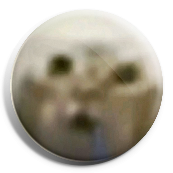11020-3d-ROUND Brainless Cat